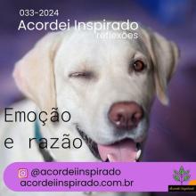 Acordei Inspirado - 033/2024 - Emoção e Razão